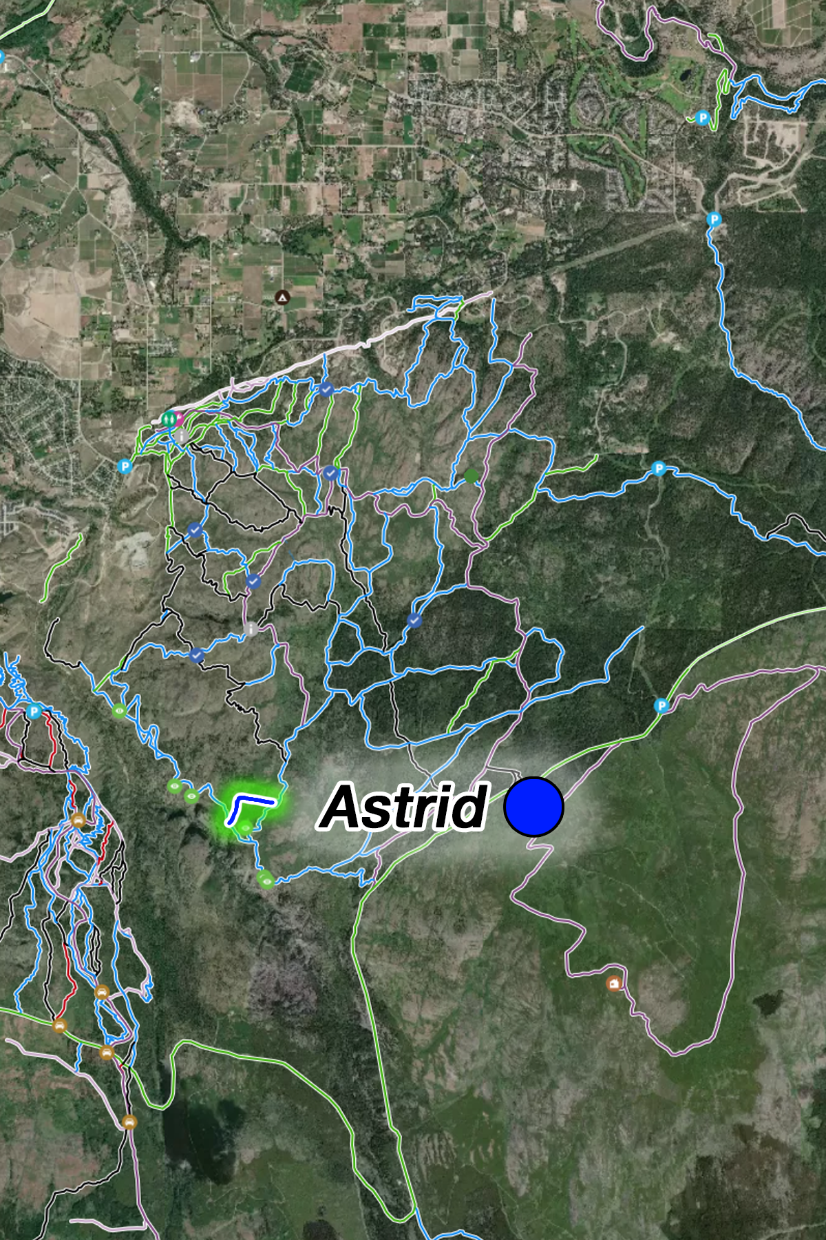 Astrid