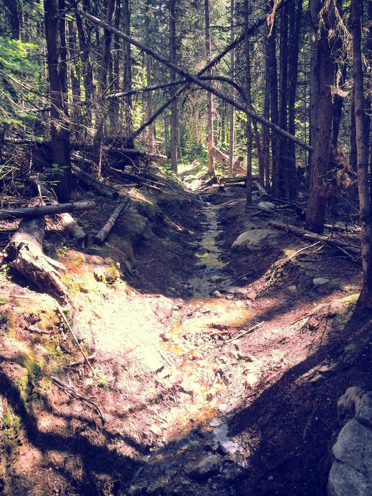 Crawford Trail (KVR to Little White)