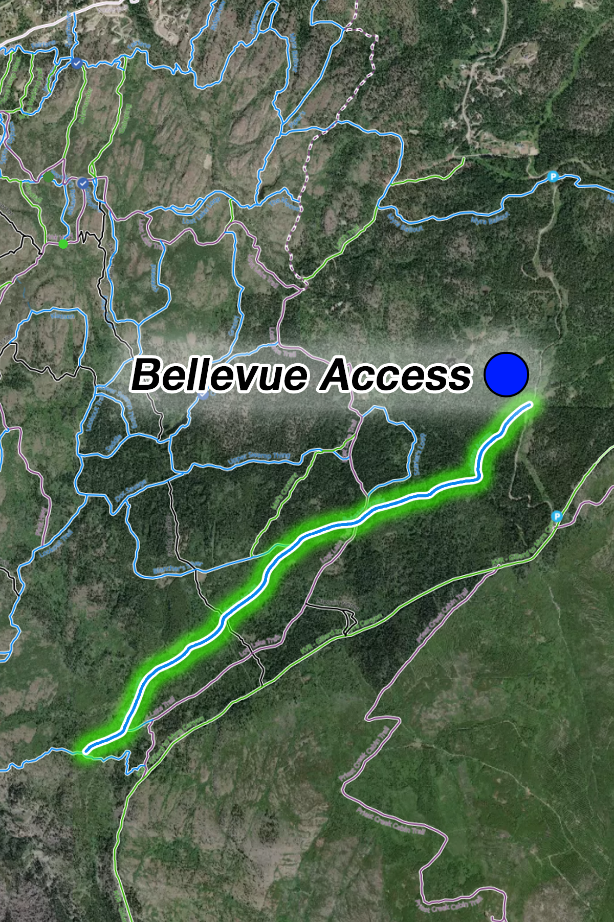 Bellevue Access