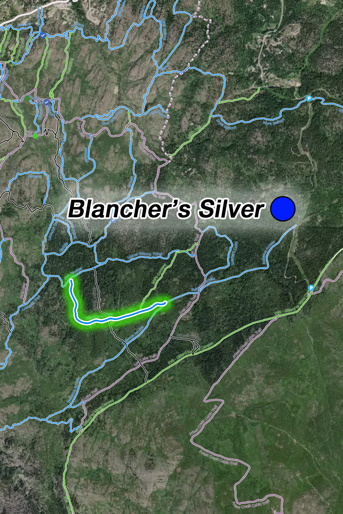 Blanchers Silver