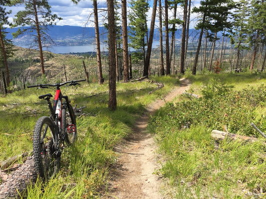 Crawford Trail (lower)